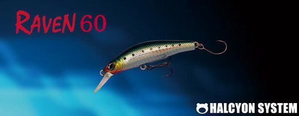RAVEN 60 US