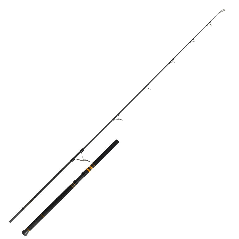 CANNE CINNETIC RAYFORCEXBR TUNA POPPING