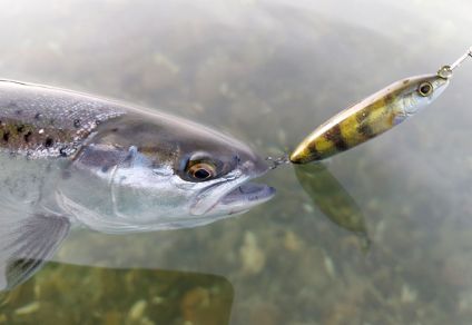 LURENZO FISH-US WOBLY LURES