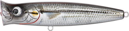 UBUNTU  POPPER